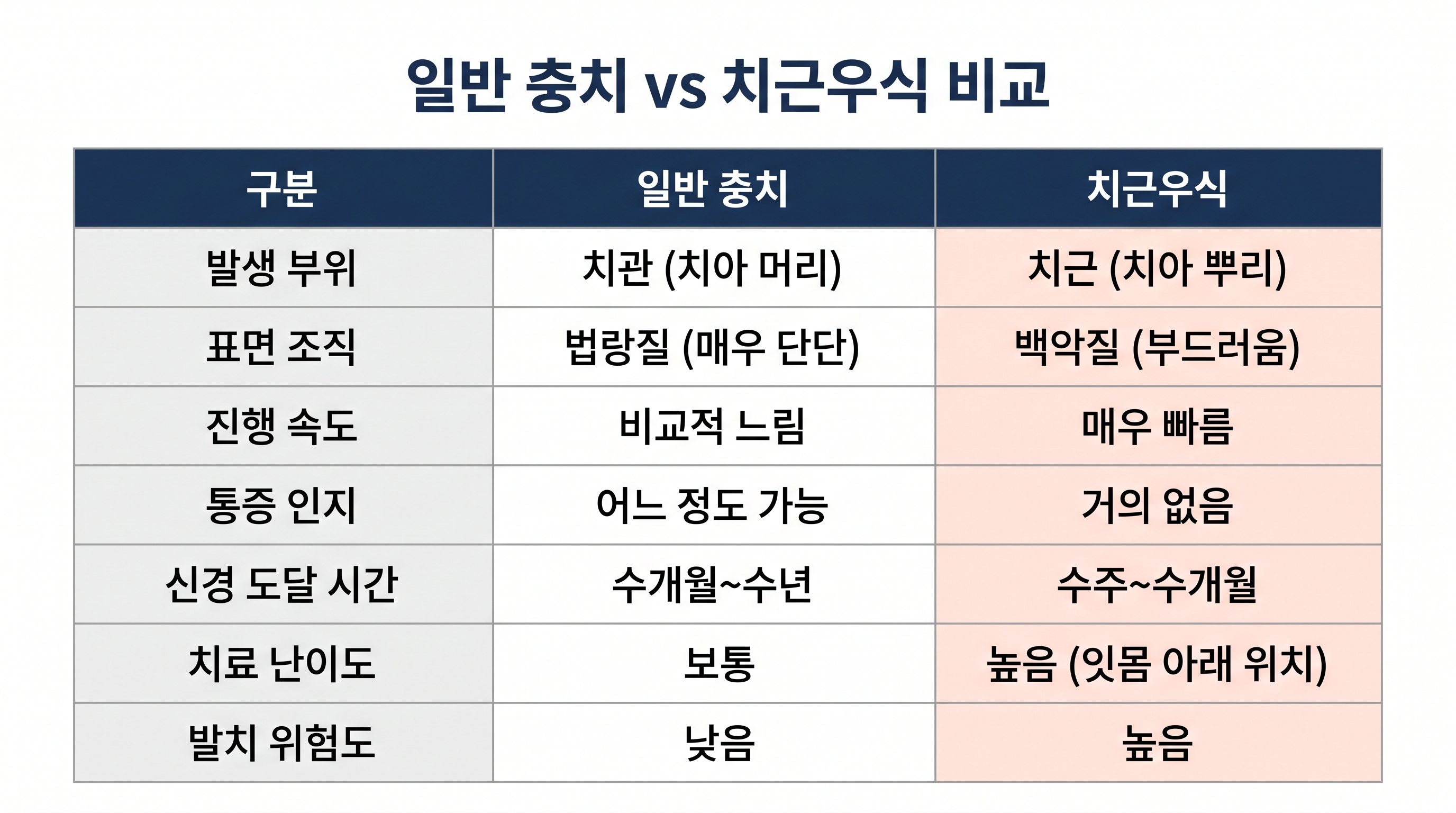치근우식과 치관우식의 차이