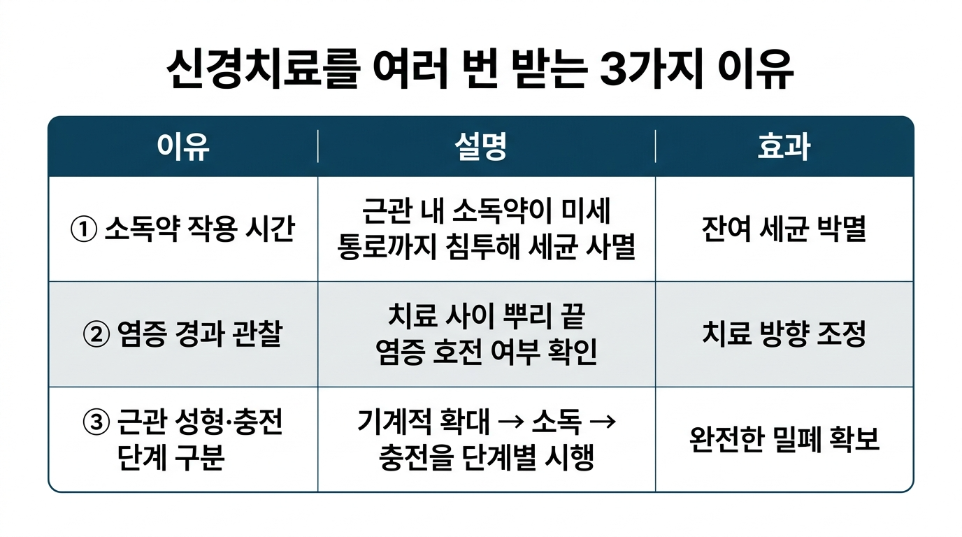 신경치료 여러 번 하는 이유 | 횟수·기간 완전 정리