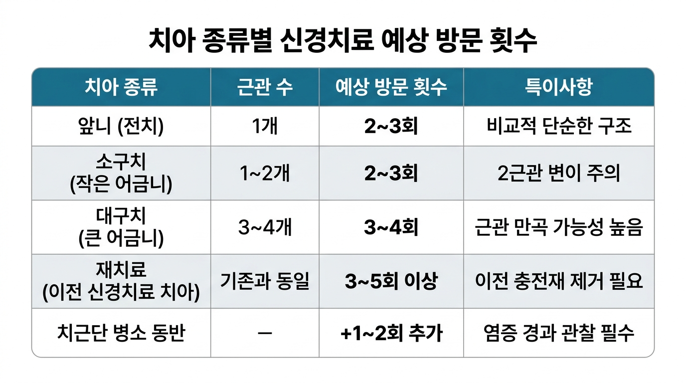 치아 종류별 신경치료 예상 방문 횟수
