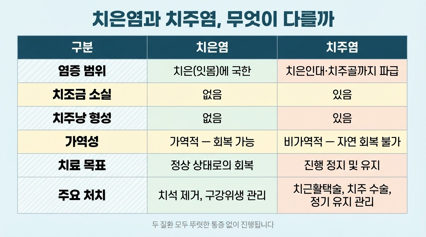치은염과 치주염 차이 — 가역성이 갈린다