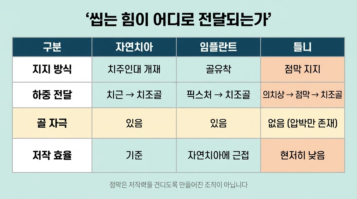 틀니 재제작의 한계 — 구조적 이유와 대안