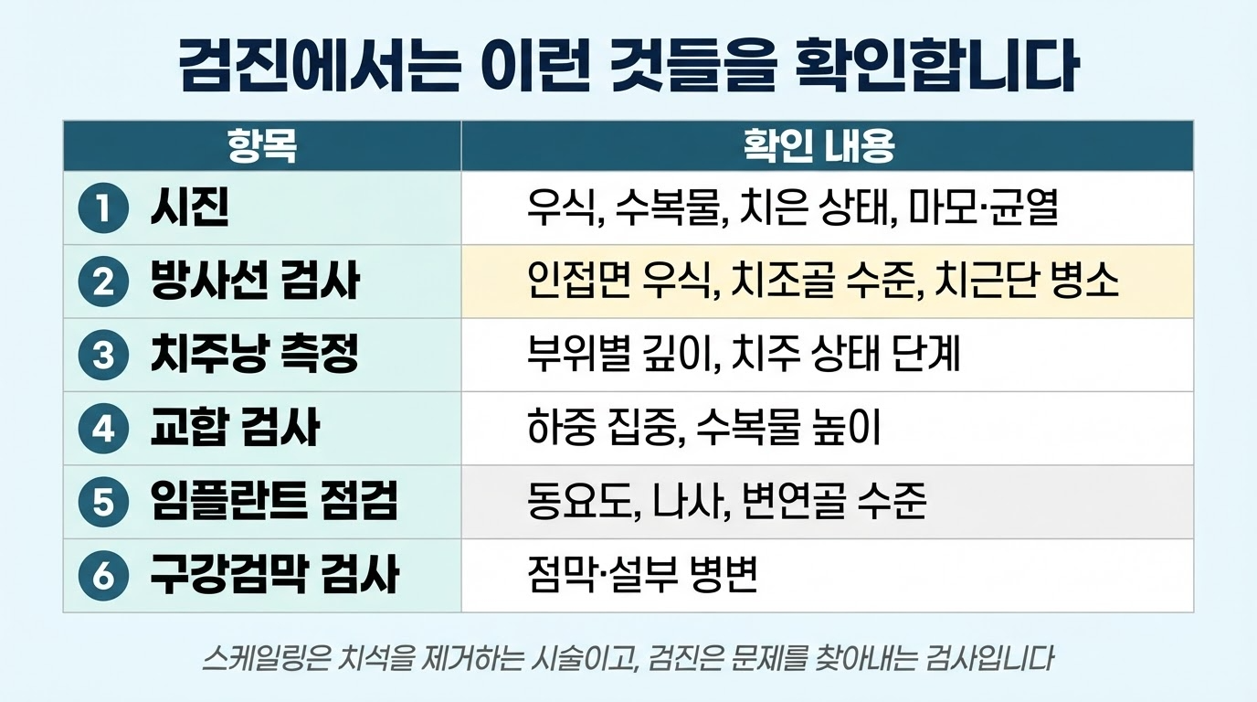 정기검진 시 확인사항