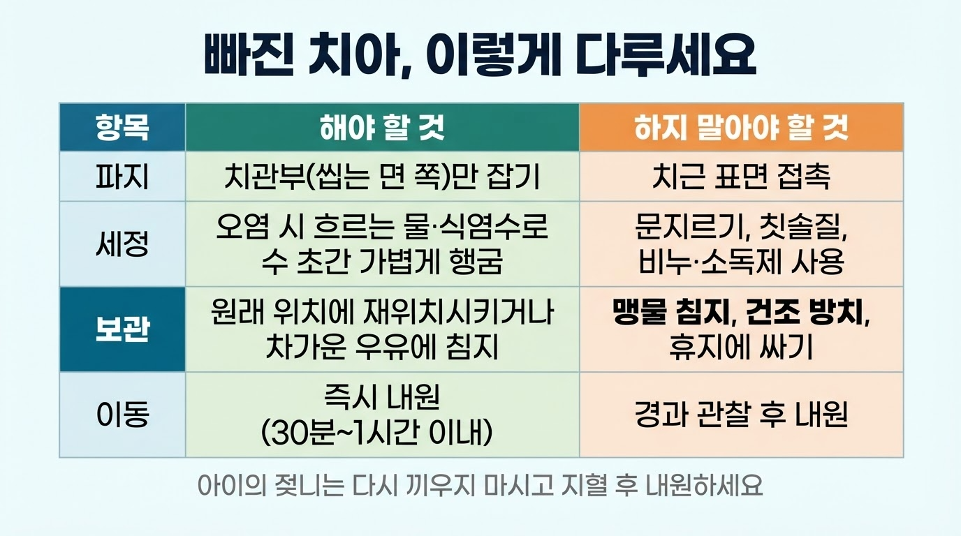 치아 외상 응급처치 — 빠진 치아 보관법과 골든타임