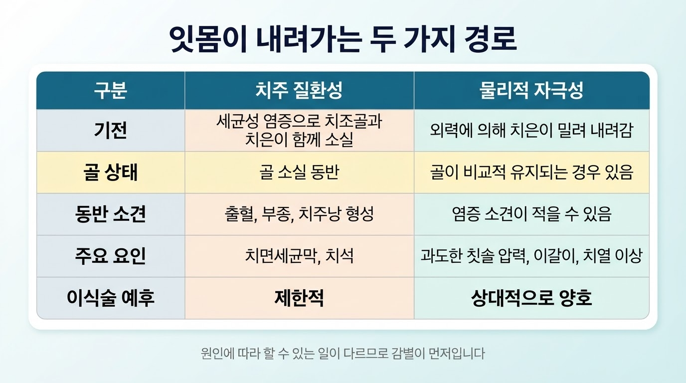 잇몸이 내려앉으면 회복되나 — 원인별 대처